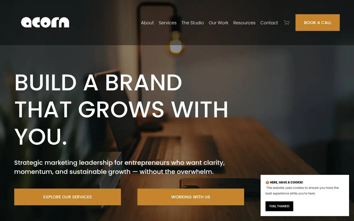 Homepage of Acorn Studio Marketing & Co. Inc.