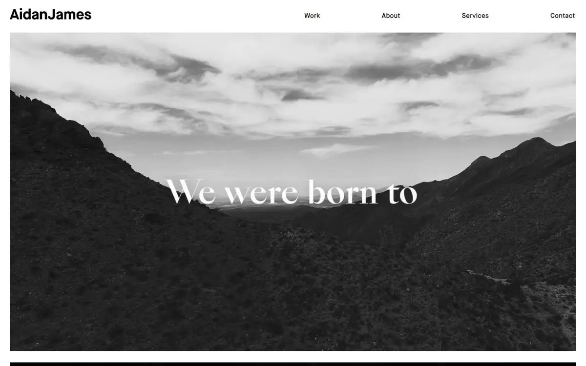 Homepage of Aidan James Agency