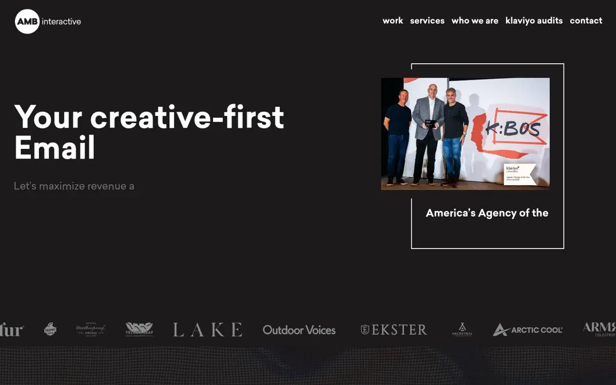 Homepage of AMB Interactive LLC