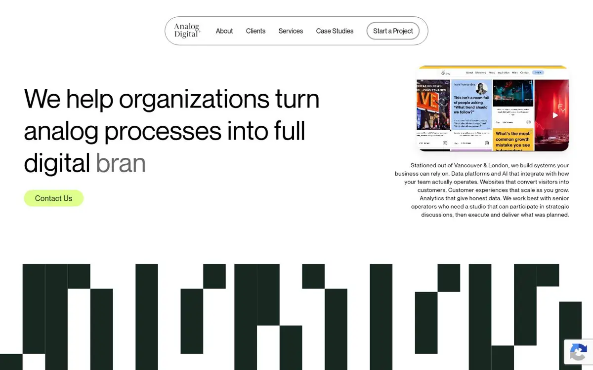 Homepage of Analog + Digital
