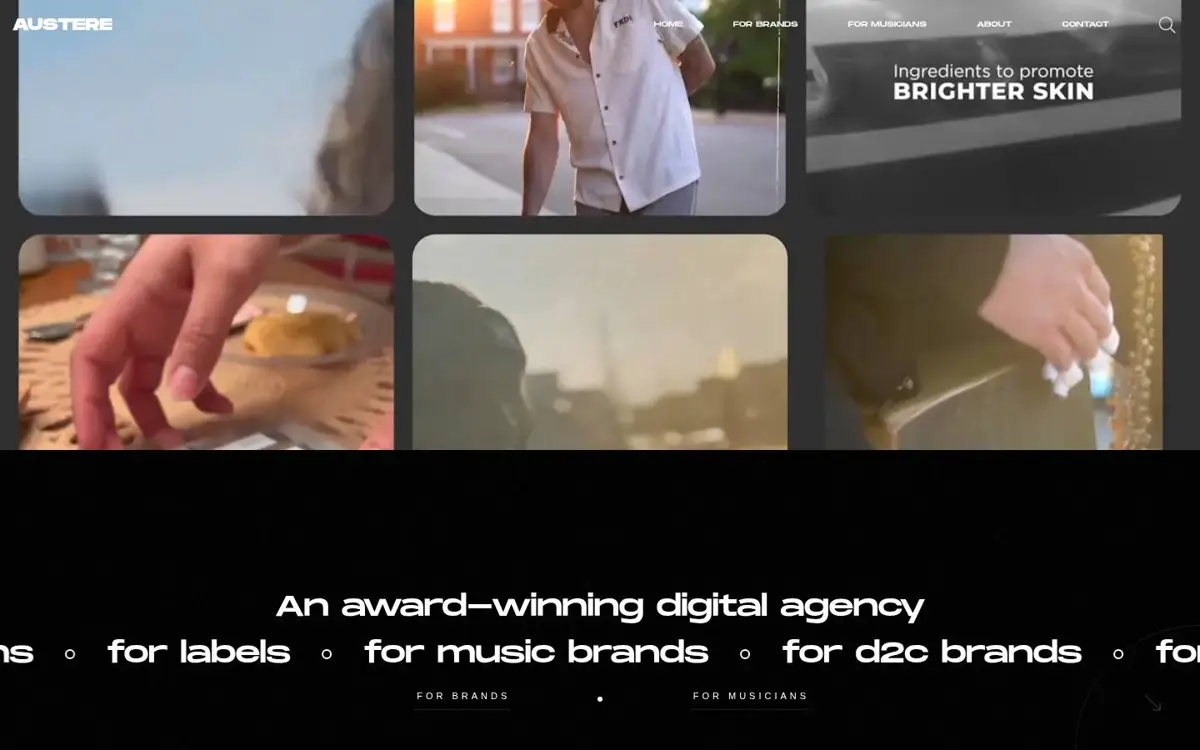 Homepage of AUSTERE