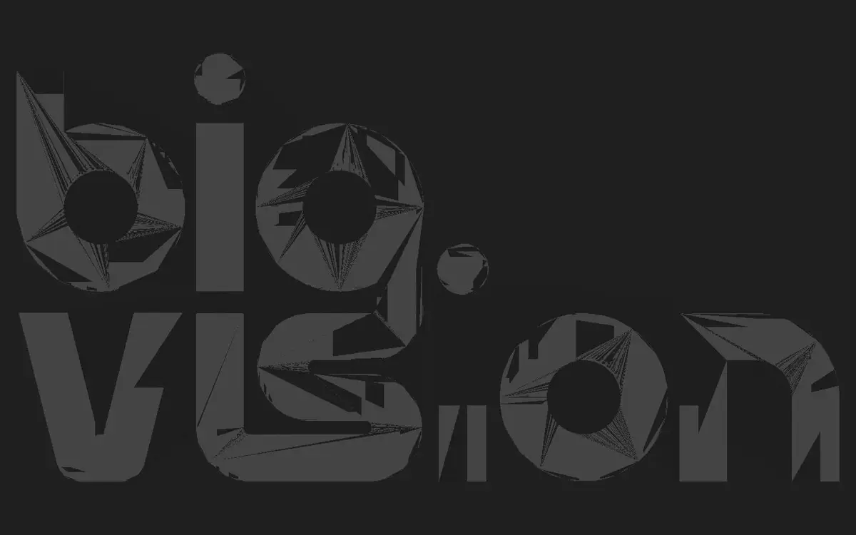 Homepage of Big Vision