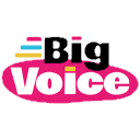 Big Voice Ltd logo