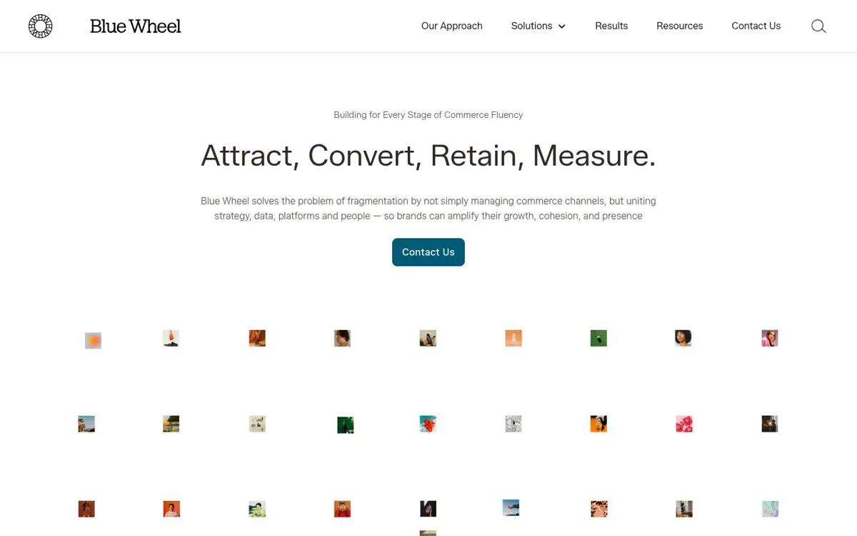 Homepage of Blue Wheel