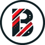 Brandsonify logo