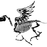Dead Horse Branding logo