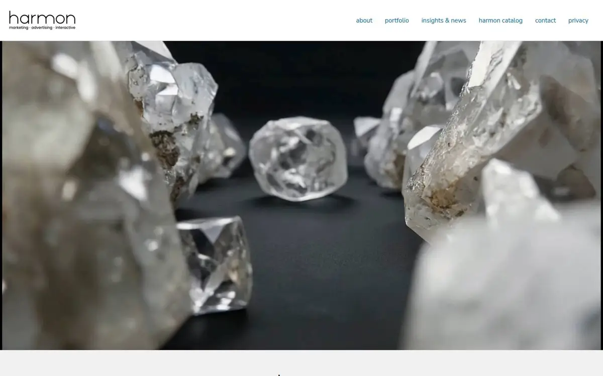 Homepage of Harmon Group