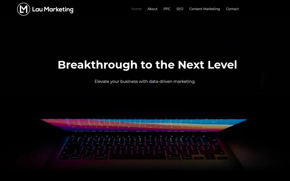 Homepage of Lau Marketing