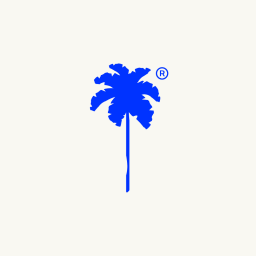 Palm + Ocean Digital Marketing logo