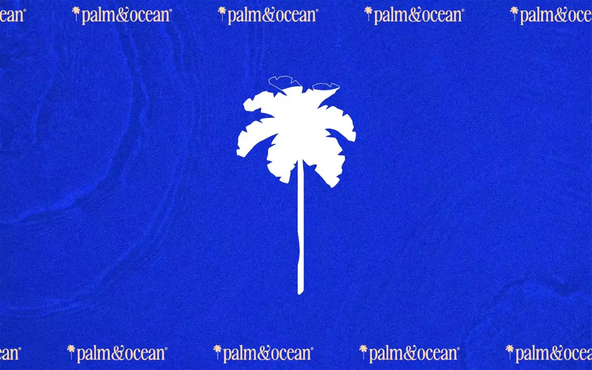 Homepage of Palm + Ocean Digital Marketing